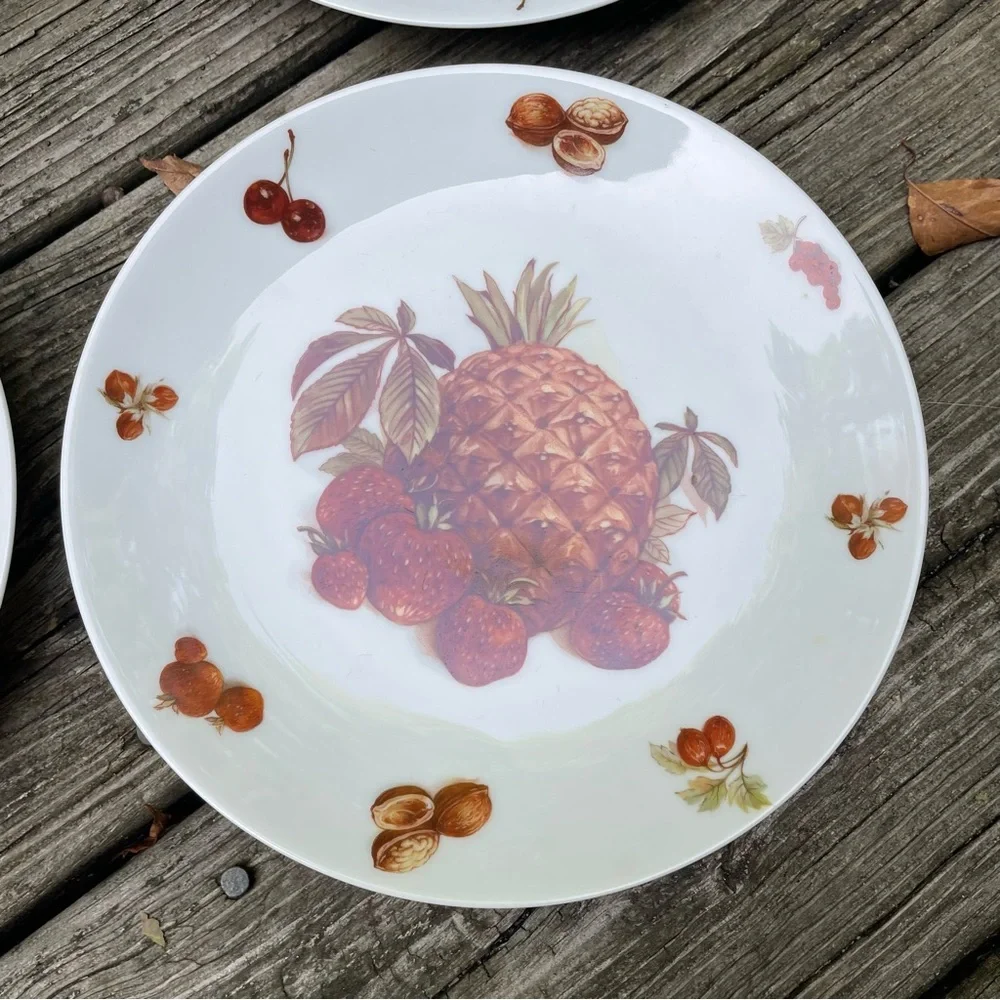 Five Vintage Bavaria Fruit Plates White Porcelain Debra Germany - Set of 5